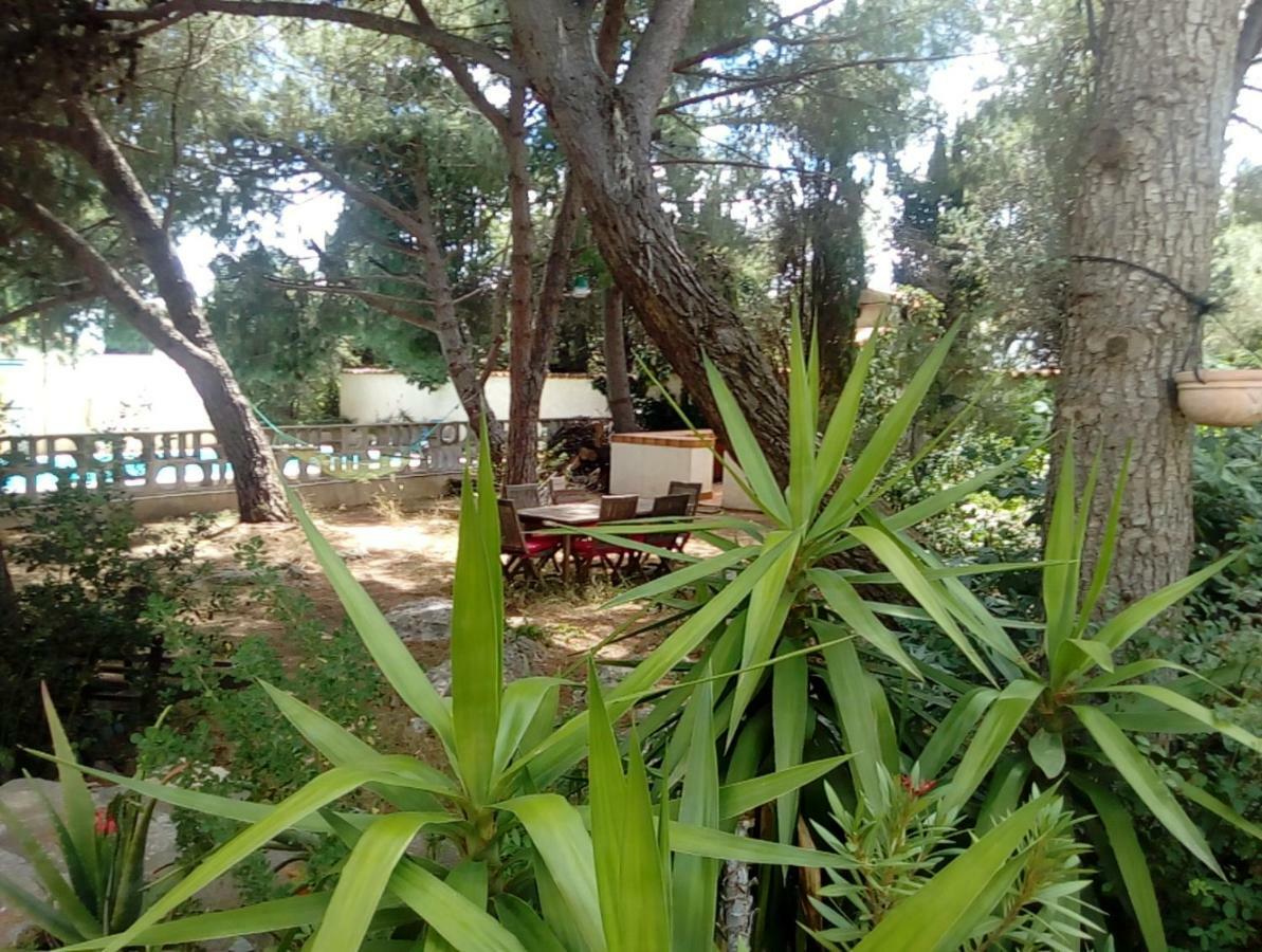 Le Paradis De Valerie Sete Ngoại thất bức ảnh